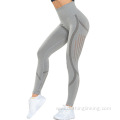 Yoga pants for women